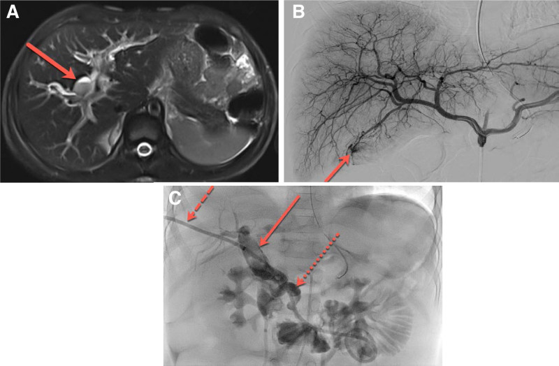 FIGURE 1.