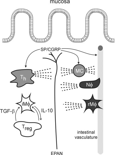 Fig. 5.