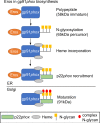Figure 2—figure supplement 2.