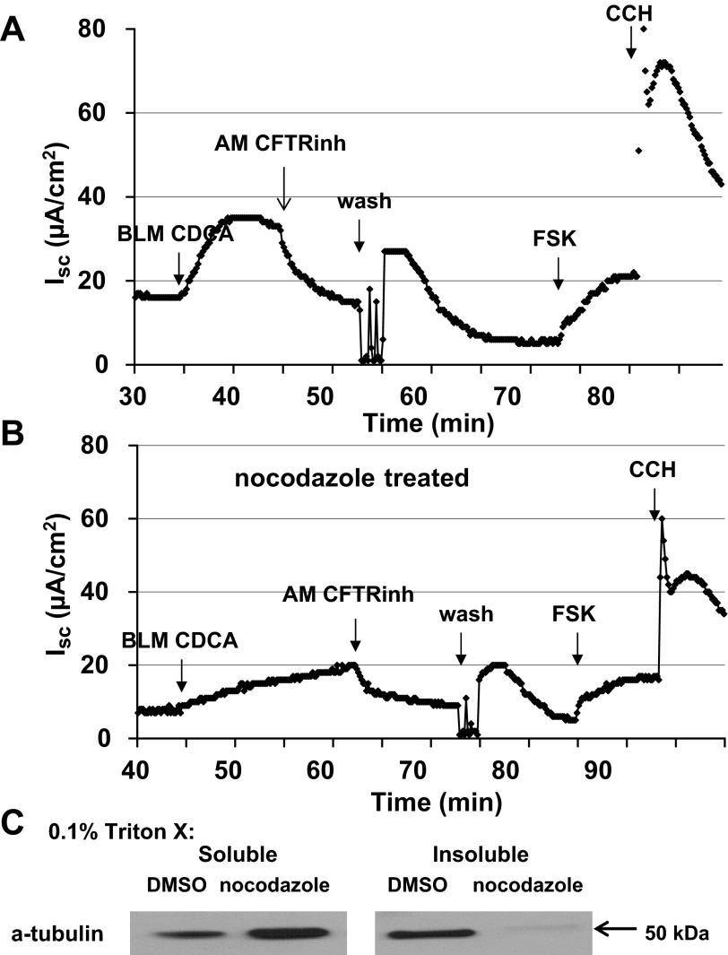 Fig. 8.