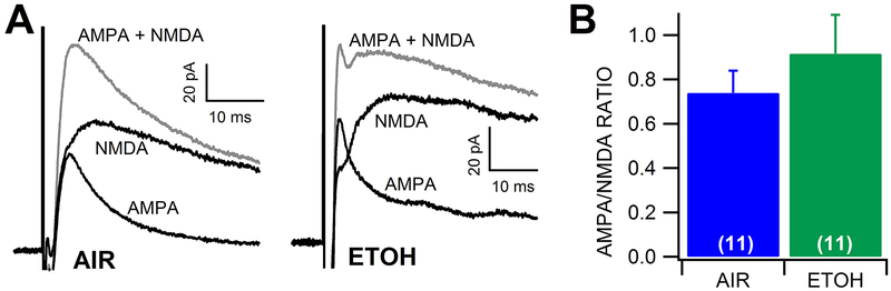 Figure 5: