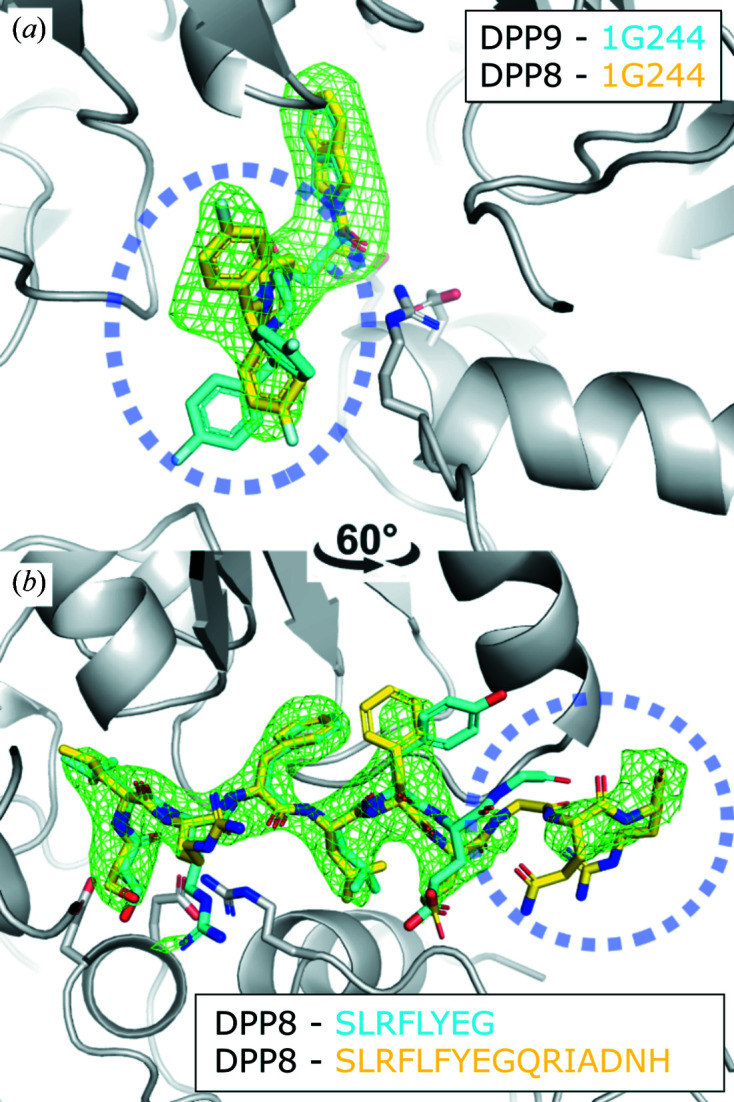 Figure 7