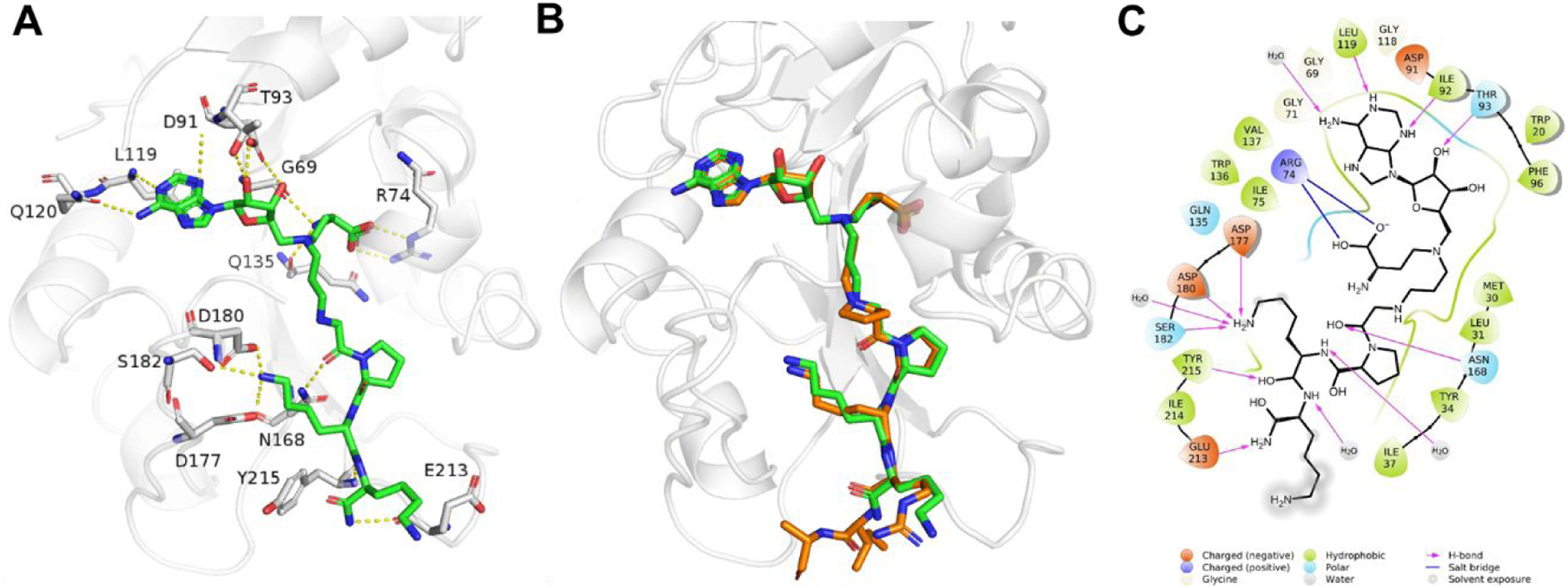 Figure 3.