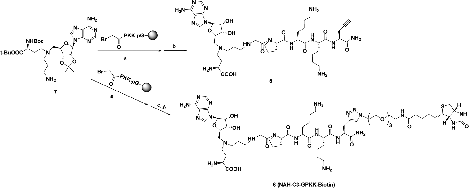 Scheme 2.