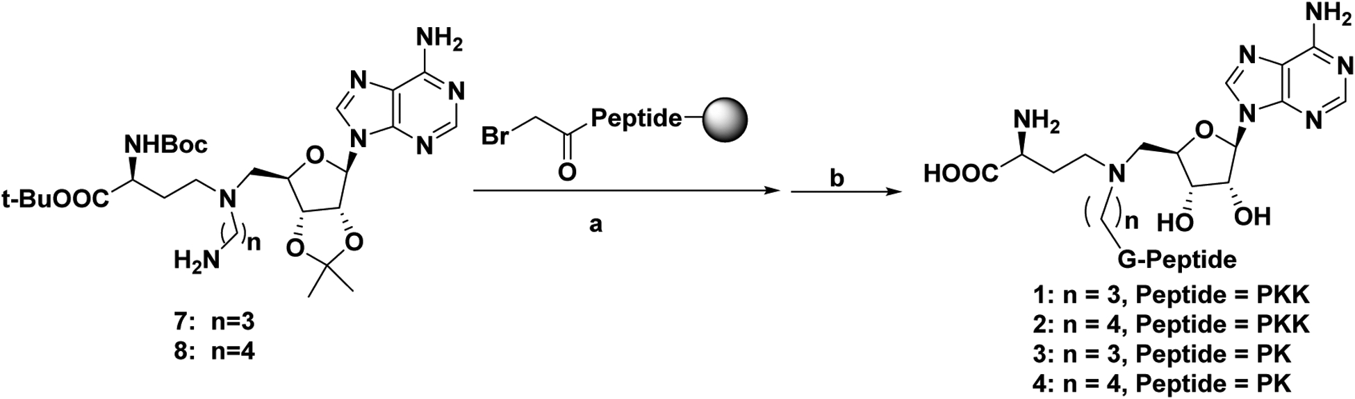 Scheme 1.