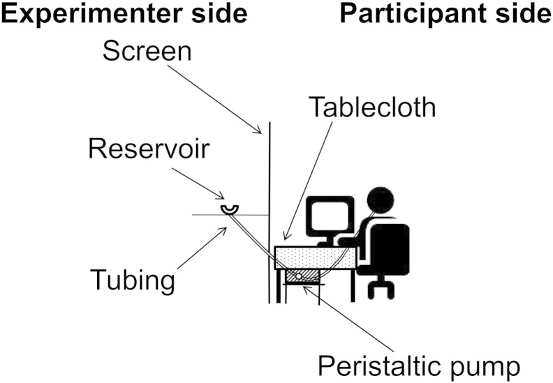 Fig. 1