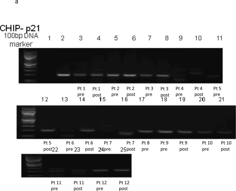 Figure 1a