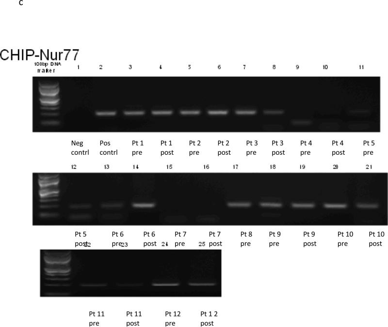 Figure 1c