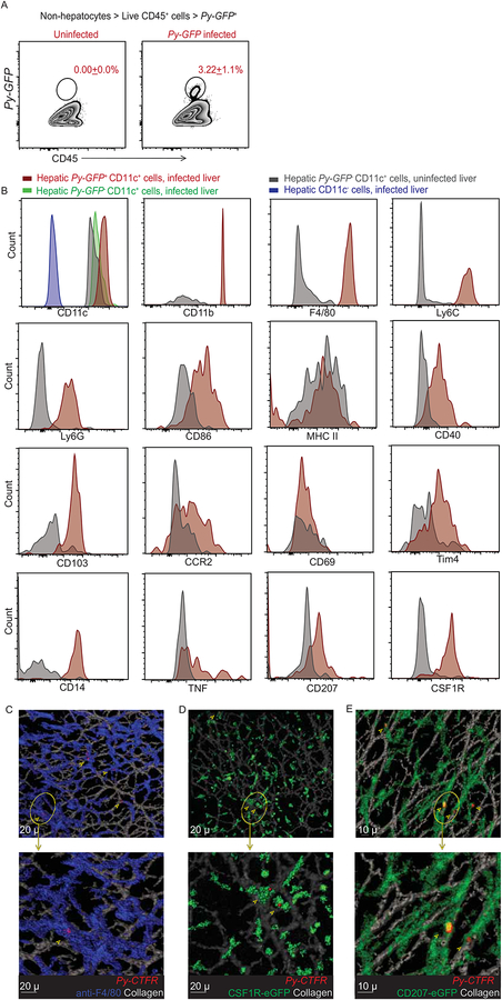 Figure 5: