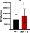Figure 1—figure supplement 2.