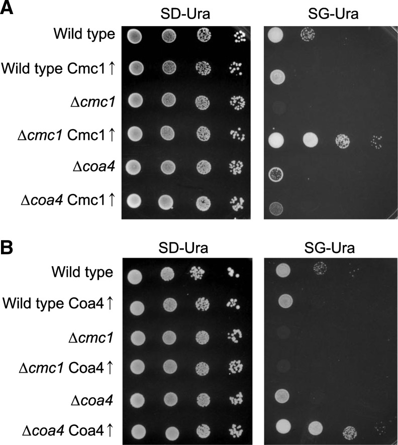 FIG. 4.