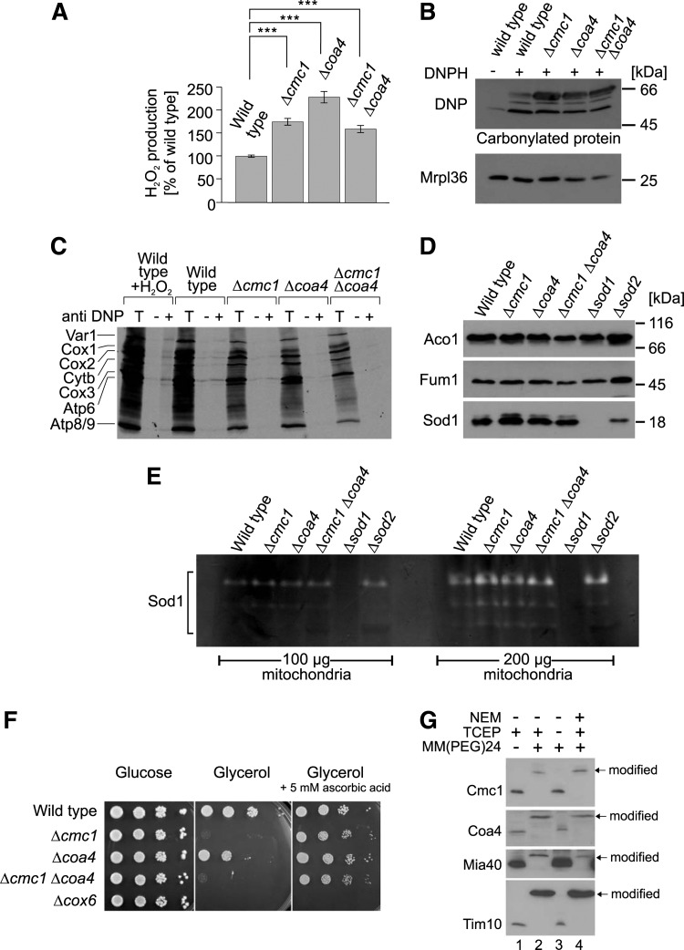 FIG. 7.