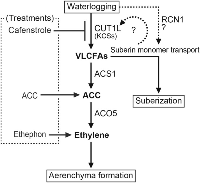 Figure 11.