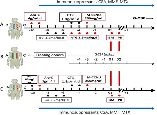 FIGURE 1