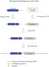 Figure 17