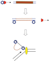 Figure 21