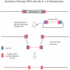 Figure 14