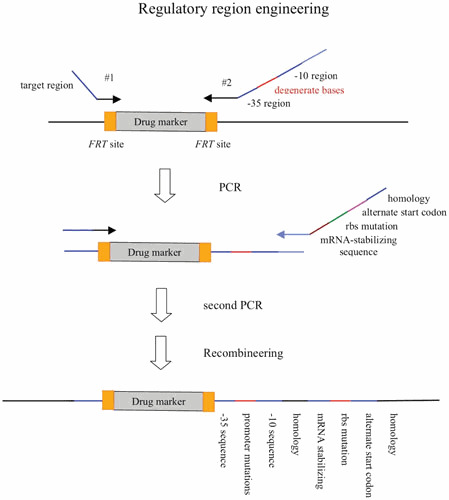 Figure 18