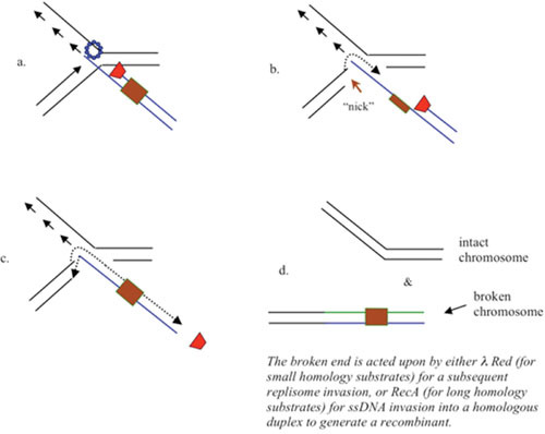 Figure 23