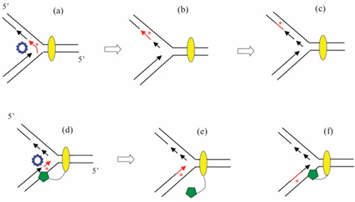 Figure 20