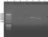 FIG. 9.