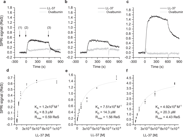 Fig.2