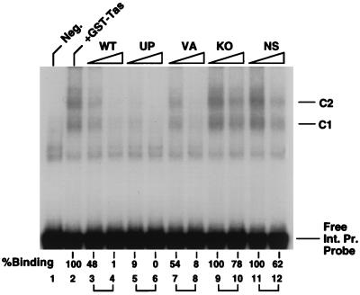 FIG. 6
