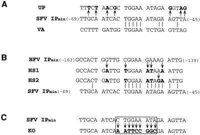FIG. 3