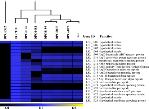 Fig. 2.