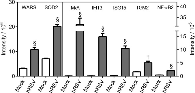 Fig. 10.