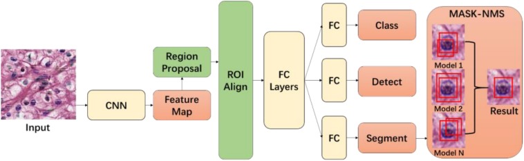 FIGURE 1