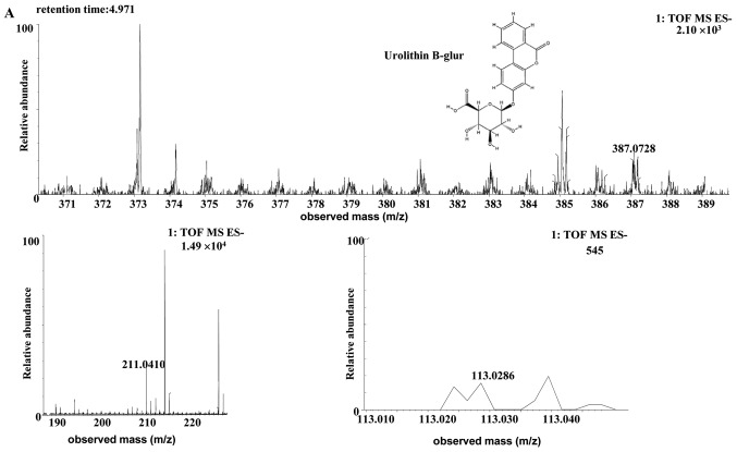 Figure 6