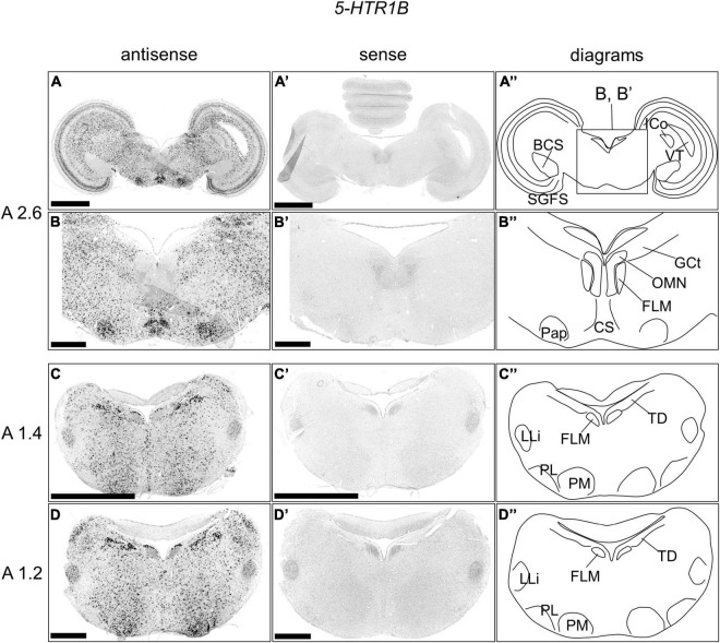 FIGURE 3