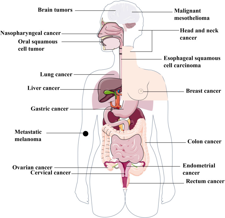 Figure 2