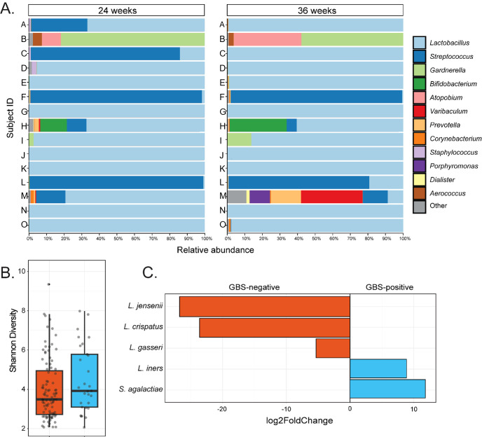 Figure 2