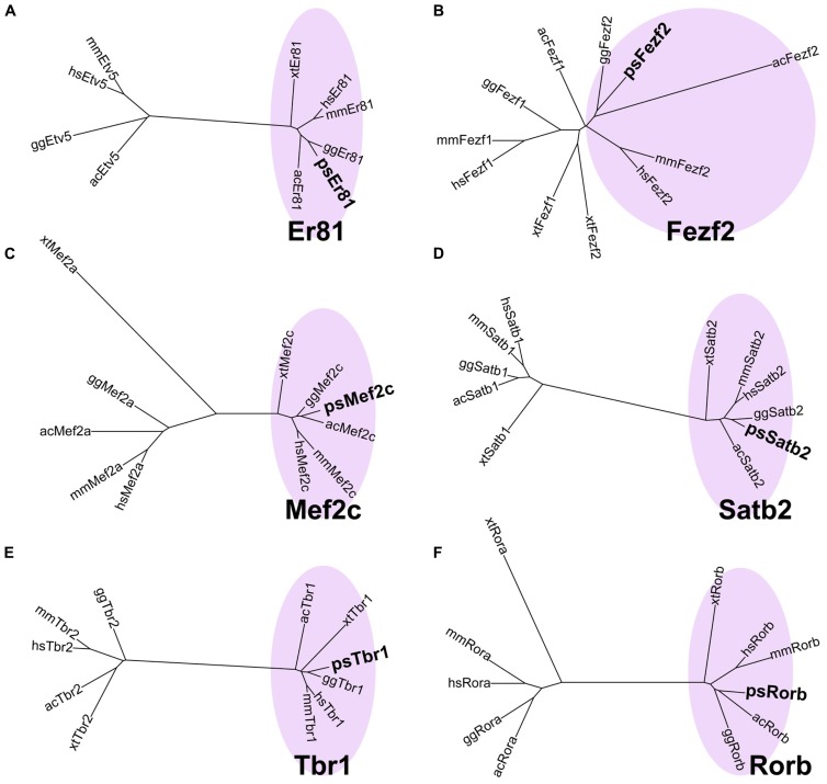 FIGURE 3