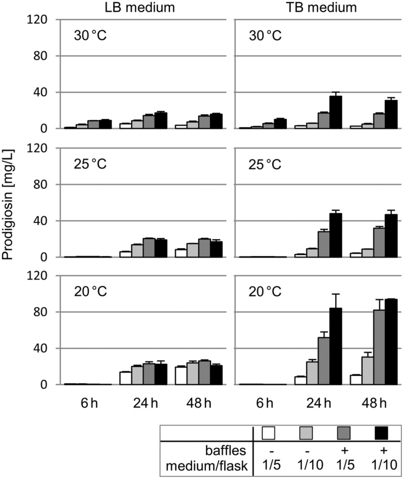 FIGURE 3