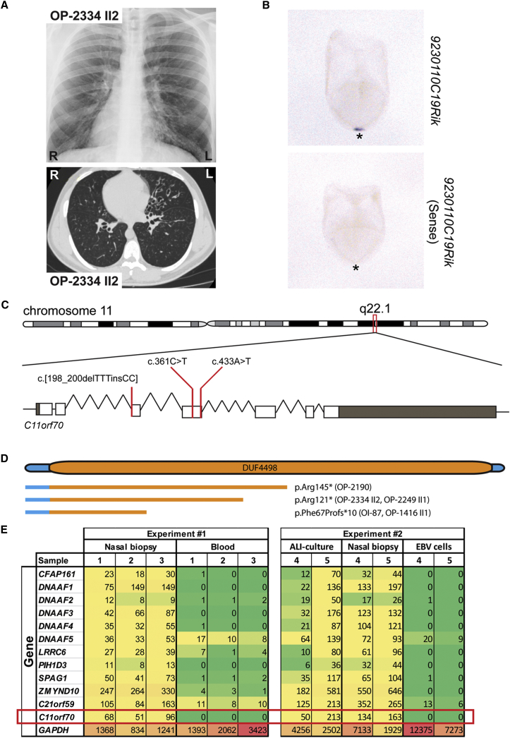 Figure 1