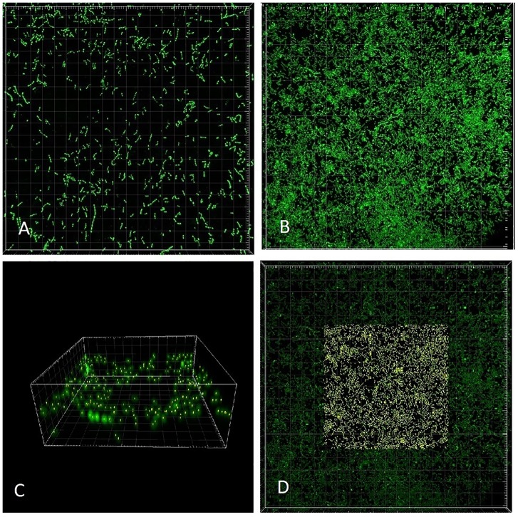 FIGURE 3