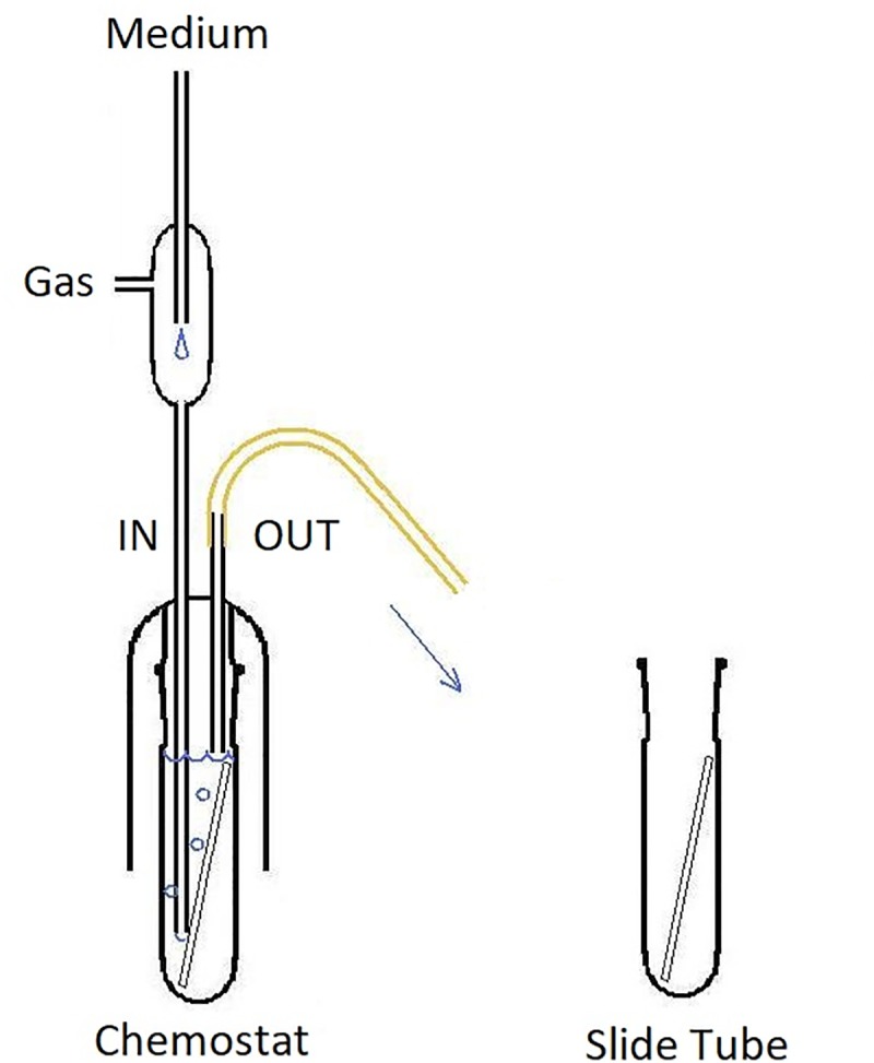 FIGURE 2