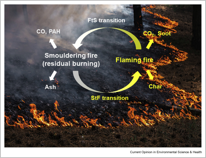 Figure 3