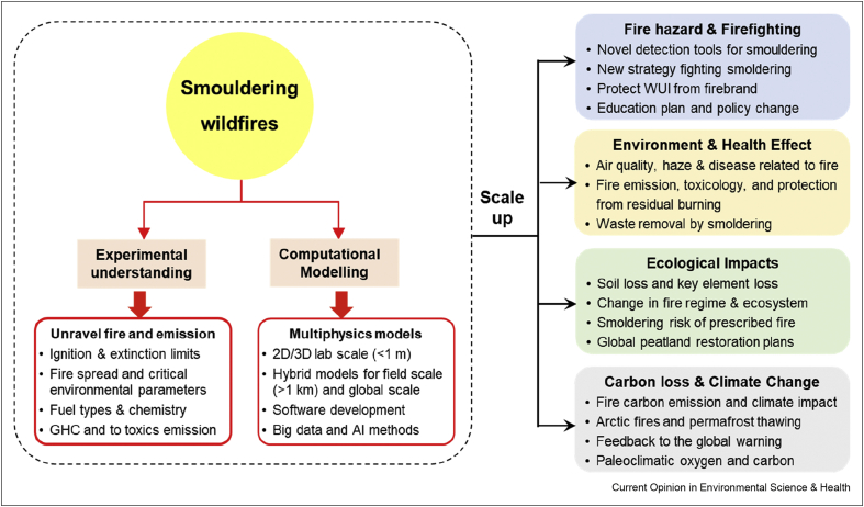 Figure 6