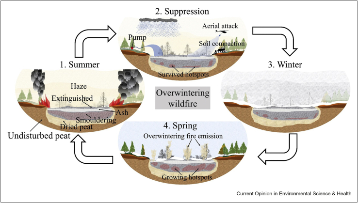 Figure 5