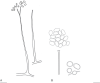 Fig. 13.