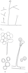 Fig. 15.