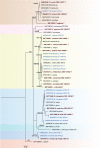 Fig. 30.