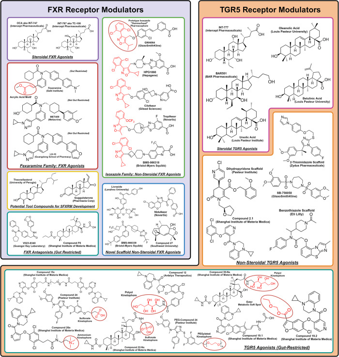 Fig. 17