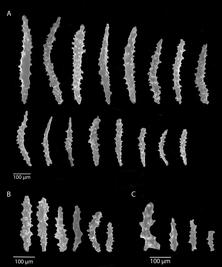 Figure 15.