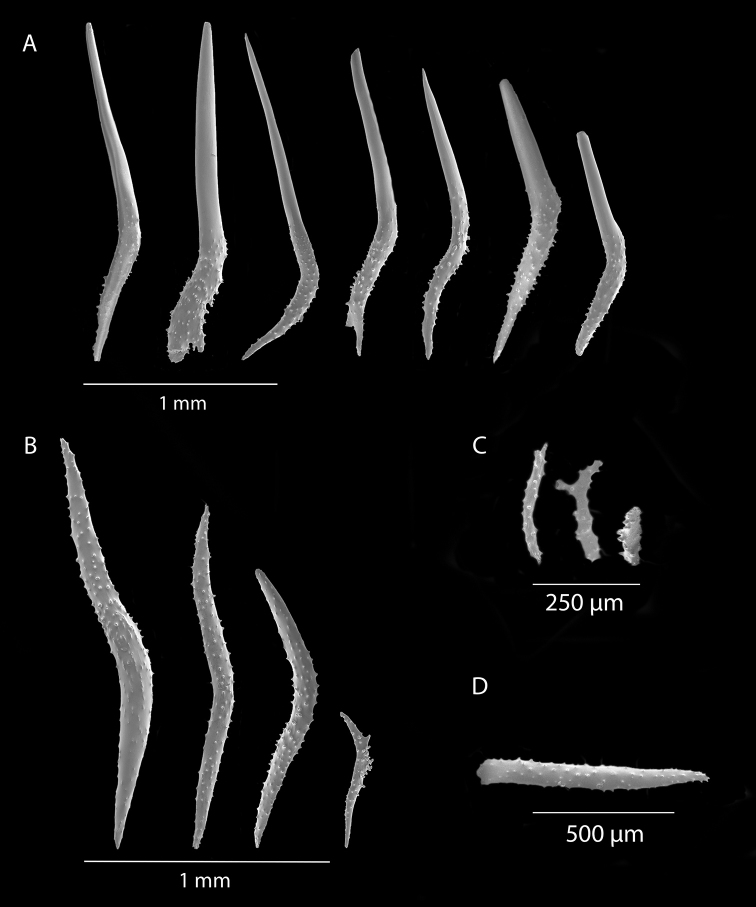 Figure 12.