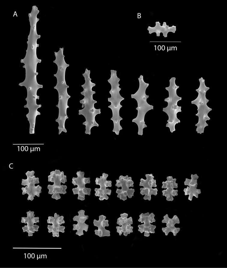 Figure 7.